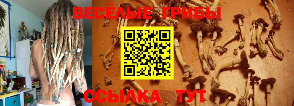 Галлюциногенные грибы MAGIC MUSHROOMS Выкса