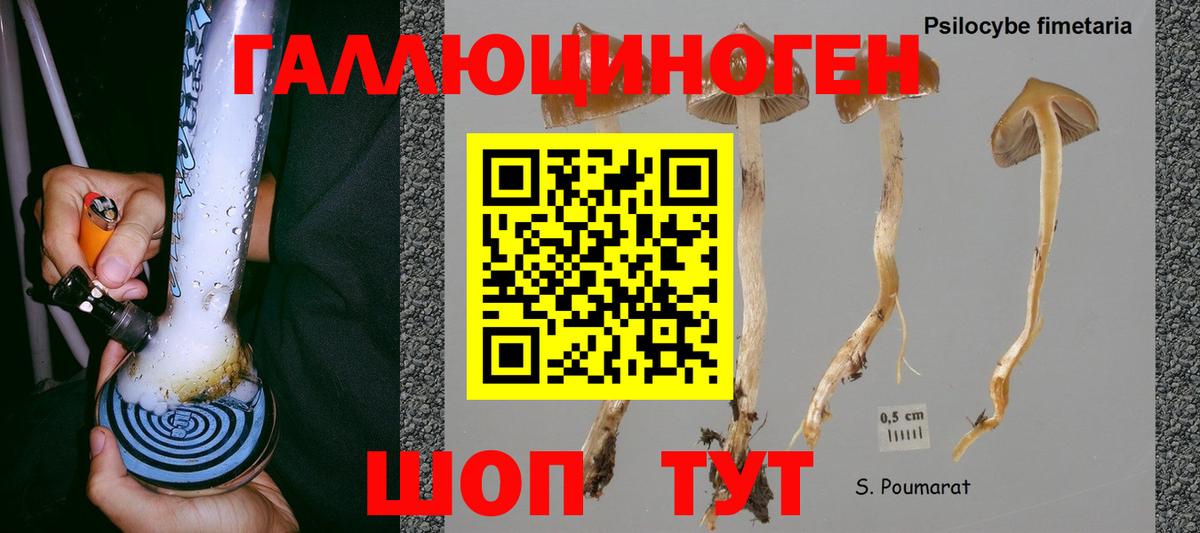 Псилоцибиновые грибы Psilocybine cubensis  Вход с VPN  Выкса  Галлюциногенные грибы GOLDEN TEACHER 